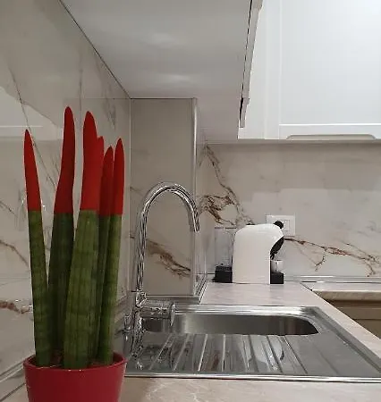 Luxury Drijon 3j Shkodra